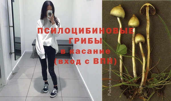 бутират Бугульма