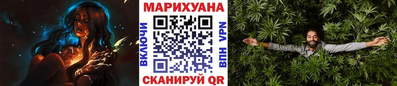 Купить где  Менделеевск  Каннабис OG Kush 